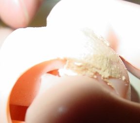 Close-up of a cracked eggshell with some egg white inside.